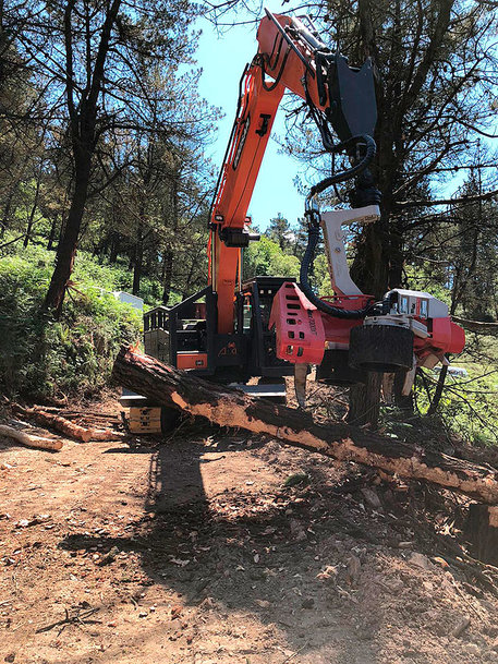 DOOSAN DX255NLC-5, IDEAL PARA TRABAJOS FORESTALES